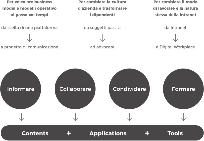 Focus intranet Adacto