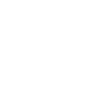 program